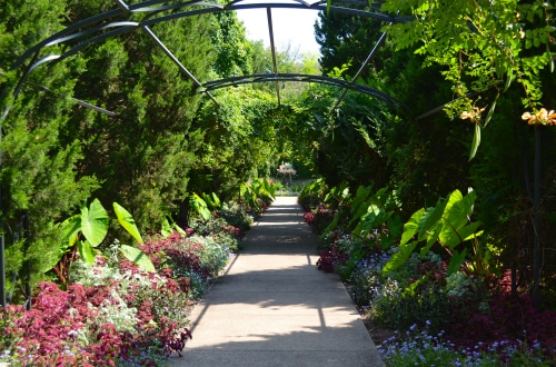 Cheekwood Botanical Gardens And Museum Of Art