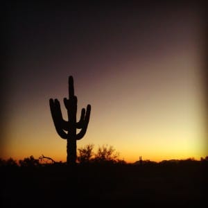 Gila Bend, Arizona in pictures! – Jenn Loses It